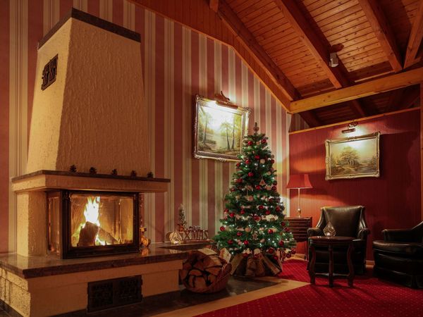 5 Tage Waldweihnacht - Weihnachten 2026 in Senftenberg, Brandenburg inkl. Halbpension Unkategorisiert online kaufen