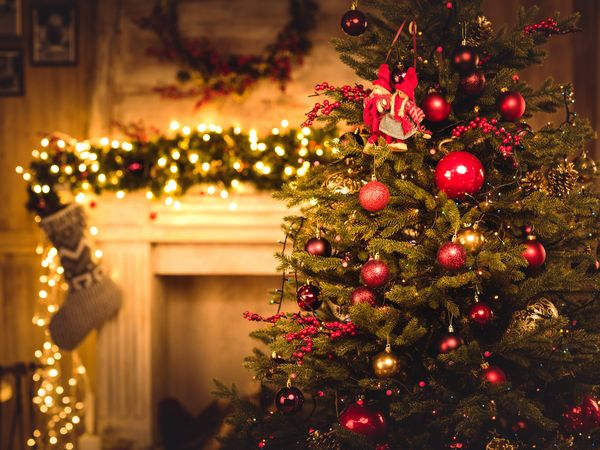 5 Tage Weihnachts-Genussmomente im Schwarzwald in Bonndorf im Schwarzwald, Baden-Württemberg inkl. Halbpension Unkategorisiert online kaufen