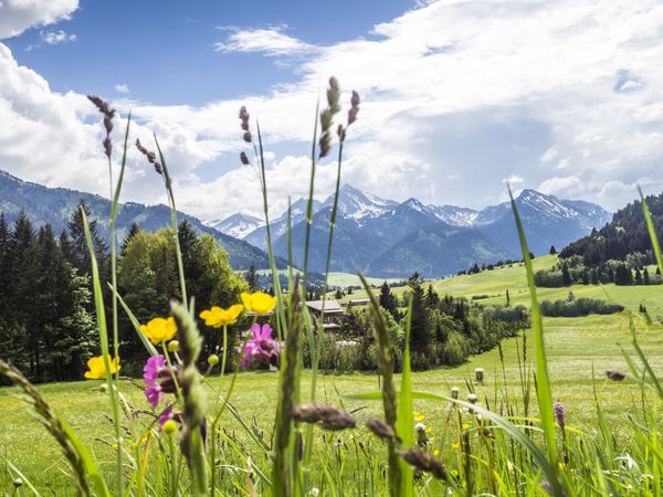 5 Tage Wellness für die Seele in Bonndorf im Schwarzwald, Baden-Württemberg inkl. Halbpension Unkategorisiert online kaufen