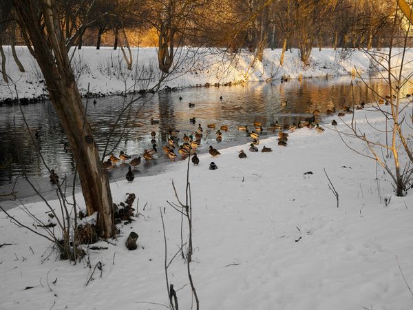 5 Tage Winter Schnäppchen im Spreewald in Kolkwitz, Brandenburg inkl. Halbpension Plus Unkategorisiert online kaufen 5 Tage Winter Schnäppchen im Spreewald in Kolkwitz, Brandenburg inkl. Halbpension Plus Unkategorisiert online kaufen
