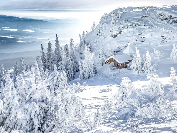 5 Tage Winter-Special im Schwarzwald mit Therme in Bonndorf im Schwarzwald, Baden-Württemberg inkl. Halbpension Unkategorisiert online kaufen 5 Tage Winter-Special im Schwarzwald mit Therme in Bonndorf im Schwarzwald, Baden-Württemberg inkl. Halbpension Unkategorisiert online kaufen