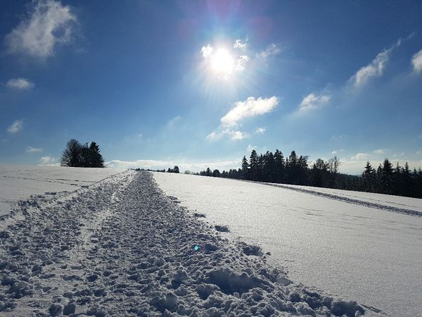 5 Tage Winterzauber: Wellness und Entspannung im Schwarzwald in Höchenschwand, Baden-Württemberg inkl. Halbpension Unkategorisiert online kaufen 5 Tage Winterzauber: Wellness und Entspannung im Schwarzwald in Höchenschwand, Baden-Württemberg inkl. Halbpension Unkategorisiert online kaufen