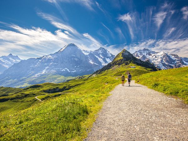 6 Tage Halbpension Plus+ zum Spitzenpreis – Genuss inklusive in Bayerisch Eisenstein, Bayern inkl. Halbpension Plus Unkategorisiert online kaufen 6 Tage Halbpension Plus+ zum Spitzenpreis – Genuss inklusive in Bayerisch Eisenstein, Bayern inkl. Halbpension Plus Unkategorisiert online kaufen