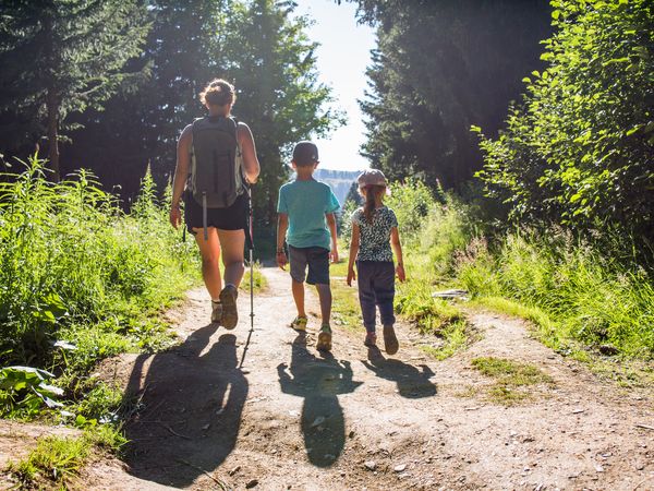 6 Tage Sommer Special in Bonndorf im Schwarzwald, Baden-Württemberg inkl. Halbpension Unkategorisiert online kaufen