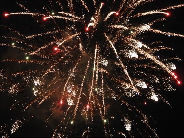 6 Tage Spreewald-Silvester-Urlaub in Kolkwitz, Brandenburg inkl. Halbpension Plus Unkategorisiert online kaufen