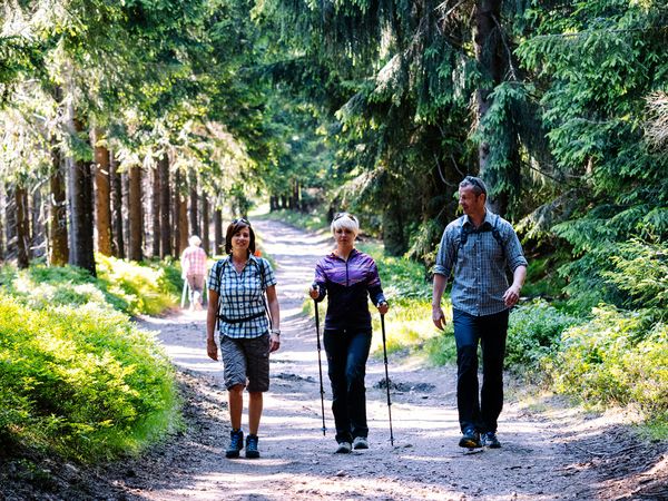 6 Tage Wander-Erlebnis Rennsteig & Thüringer Wald in Oberhof, Thüringen inkl. Halbpension Unkategorisiert online kaufen 6 Tage Wander-Erlebnis Rennsteig & Thüringer Wald in Oberhof, Thüringen inkl. Halbpension Unkategorisiert online kaufen