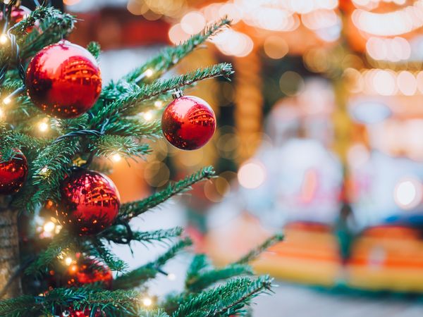 6 Tage Weihnachten auf Rügen – Entspannung inkl. Frühstück in Ostseebad Baabe, Mecklenburg-Vorpommern inkl. Frühstück Unkategorisiert online kaufen