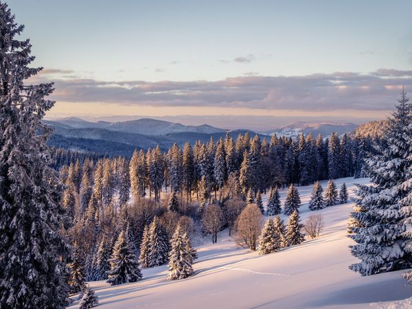 6 Tage Winterzauber im Schwarzwaldhof in Bonndorf im Schwarzwald, Baden-Württemberg inkl. Halbpension Unkategorisiert online kaufen 6 Tage Winterzauber im Schwarzwaldhof in Bonndorf im Schwarzwald, Baden-Württemberg inkl. Halbpension Unkategorisiert online kaufen
