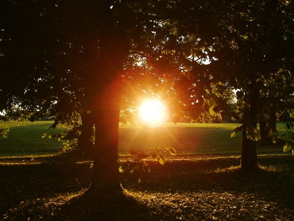 7 Tage auf den Spuren von Kneipp mit Frühstück in Bad Wörishofen, Bayern inkl. Frühstück Unkategorisiert online kaufen