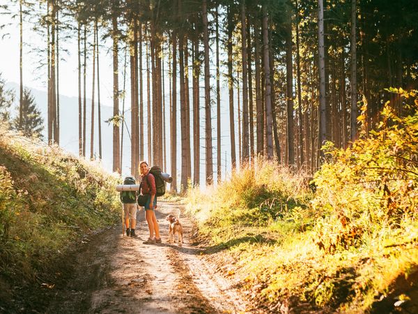 7 Tage Familienurlaub mit Halbpension: Einfach Urlaub in Bayerisch Eisenstein, Bayern inkl. Halbpension Unkategorisiert online kaufen 7 Tage Familienurlaub mit Halbpension: Einfach Urlaub in Bayerisch Eisenstein, Bayern inkl. Halbpension Unkategorisiert online kaufen