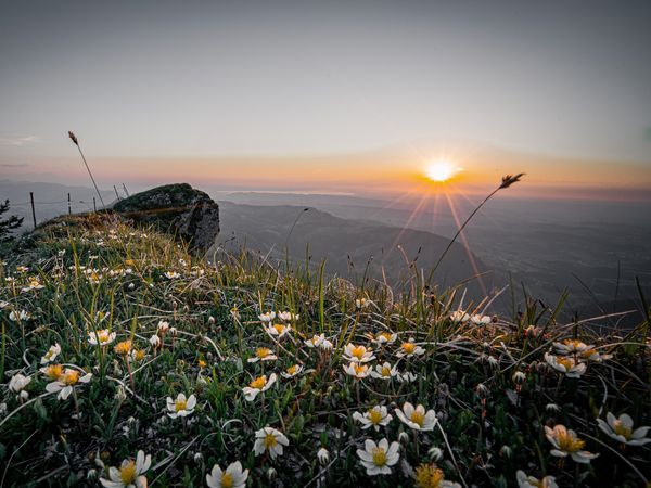 8 Tage 8 Tg. Urlaub in Tirol-Freizeiterlebnis Zugspitz Arena in Ehrwald inkl. Frühstück Unkategorisiert online kaufen