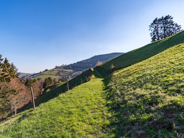 8 Tage Aktivurlaub in Wald am Arlberg mit Frühstück in Dalaas, Vorarlberg inkl. Frühstück Unkategorisiert online kaufen 8 Tage Aktivurlaub in Wald am Arlberg mit Frühstück in Dalaas, Vorarlberg inkl. Frühstück Unkategorisiert online kaufen