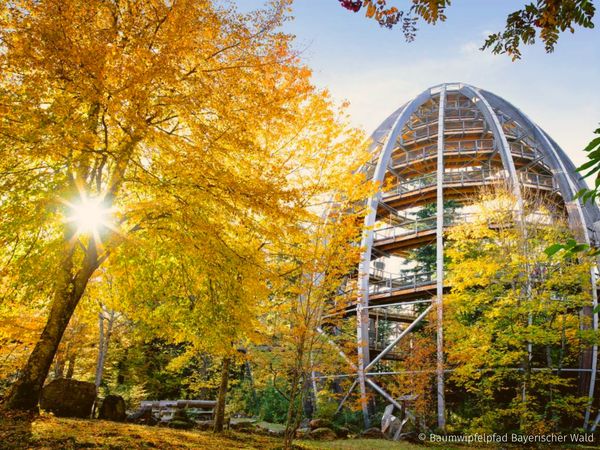 8 Tage Family-Familien Abenteuer im Bayerischen Wald in Bayerisch Eisenstein, Bayern inkl. Frühstück Unkategorisiert online kaufen