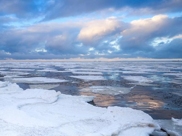 8 Tage Winterwoche in Neuharlingersiel OT Ostbense, Niedersachsen inkl. Halbpension Unkategorisiert online kaufen 8 Tage Winterwoche in Neuharlingersiel OT Ostbense, Niedersachsen inkl. Halbpension Unkategorisiert online kaufen