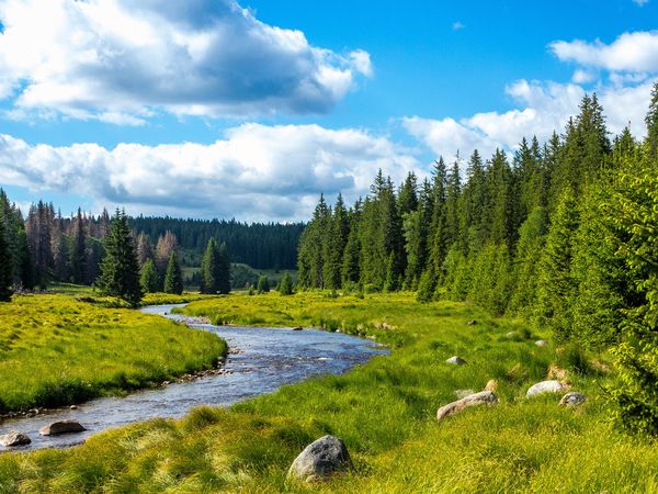 8 Tage Wutachschlucht Wanderwoche in Bonndorf im Schwarzwald, Baden-Württemberg inkl. Halbpension Unkategorisiert online kaufen 8 Tage Wutachschlucht Wanderwoche in Bonndorf im Schwarzwald, Baden-Württemberg inkl. Halbpension Unkategorisiert online kaufen