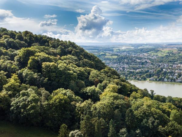 Aktivurlaub mit Freunden in Königswinter I 2 Nächte Unkategorisiert online kaufen