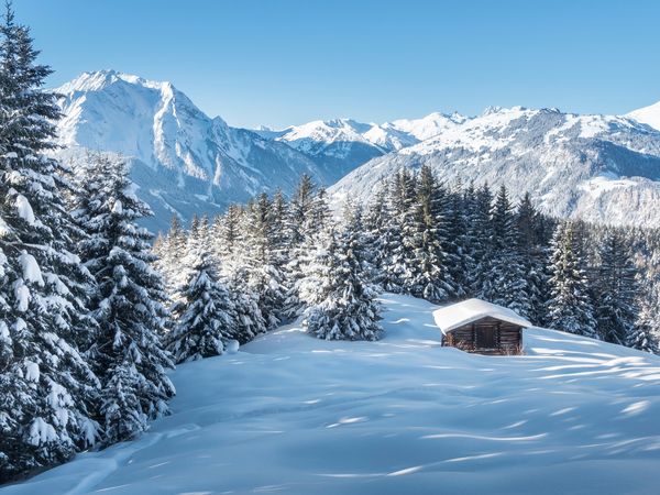 Alpiner Genuss und Aktivurlaub vom Feinsten - 3 Tage in Schwendau, Tirol inkl. Halbpension Unkategorisiert online kaufen