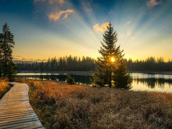 Auszeit im Schwarzwald 4 Tage in Bonndorf im Schwarzwald, Baden-Württemberg inkl. Halbpension Unkategorisiert online kaufen