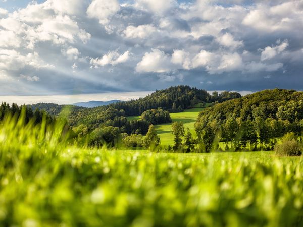 Bayerischer Wald für Individualisten / 8 Tage in Zwiesel, Bayern inkl. Frühstück Unkategorisiert online kaufen Bayerischer Wald für Individualisten / 8 Tage in Zwiesel, Bayern inkl. Frühstück Unkategorisiert online kaufen