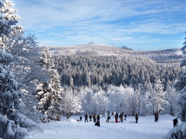 Harzer Last - Minute Winter-Schnäppchen ( 5 Tage ) in Güntersberge, Sachsen-Anhalt inkl. Halbpension Plus Unkategorisiert online kaufen