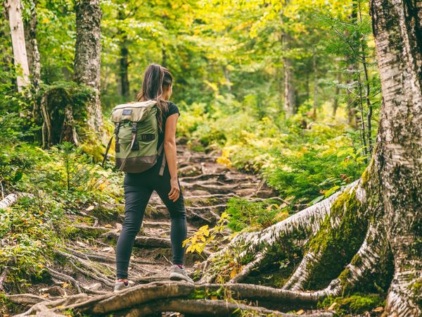 Levico Terme & das Trentino - 7 Tage mit Halbpension, Trentino-Südtirol inkl. Halbpension Unkategorisiert online kaufen Levico Terme & das Trentino - 7 Tage mit Halbpension, Trentino-Südtirol inkl. Halbpension Unkategorisiert online kaufen