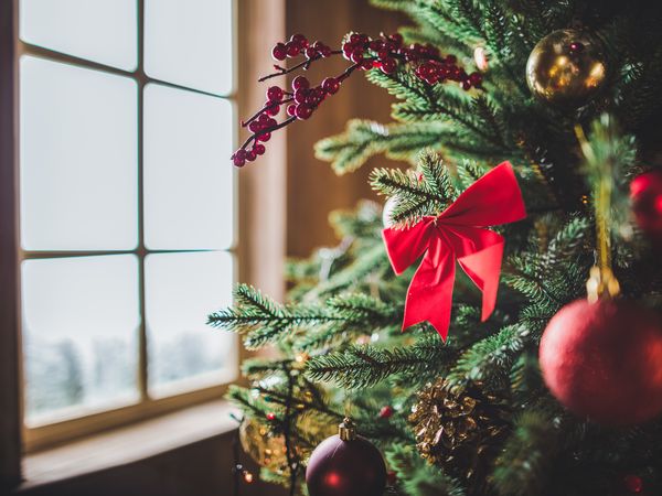 Merry Christmas - 7 Tage Weihnachten in Reit im Winkl, Bayern inkl. Halbpension Unkategorisiert online kaufen Merry Christmas - 7 Tage Weihnachten in Reit im Winkl, Bayern inkl. Halbpension Unkategorisiert online kaufen