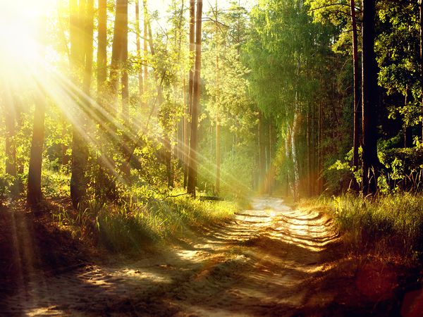Preis Hit: 4 Tage Bayerwald mit Halbpension&Natur pur in Bayerisch Eisenstein, Bayern inkl. Halbpension Unkategorisiert online kaufen Preis Hit: 4 Tage Bayerwald mit Halbpension&Natur pur in Bayerisch Eisenstein, Bayern inkl. Halbpension Unkategorisiert online kaufen