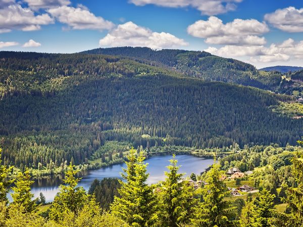 Schwarzwald Auszeit - 4 Tage in Bonndorf im Schwarzwald, Baden-Württemberg inkl. Halbpension Unkategorisiert online kaufen Schwarzwald Auszeit - 4 Tage in Bonndorf im Schwarzwald, Baden-Württemberg inkl. Halbpension Unkategorisiert online kaufen