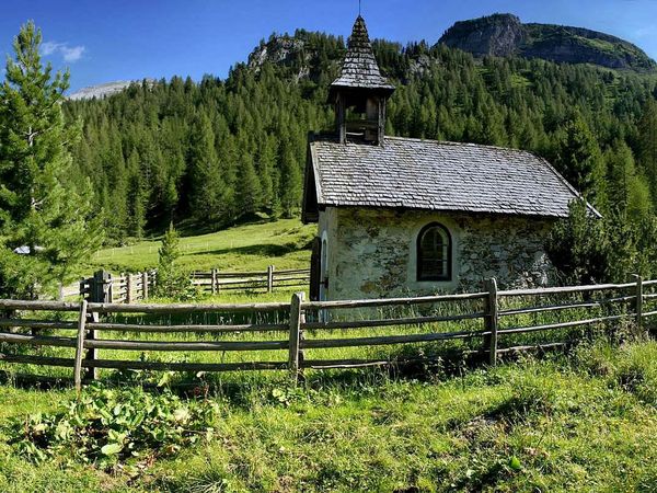 Sommer-Auszeit bei herrlichem Bergpanorama - 8 Tage in Tweng, Salzburg inkl. Halbpension Unkategorisiert online kaufen