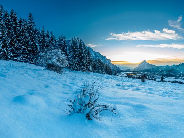 Tirol erleben – 3 Tage zwischen Alpen & Auszeit in Ebbs inkl. Halbpension Unkategorisiert online kaufen Tirol erleben – 3 Tage zwischen Alpen & Auszeit in Ebbs inkl. Halbpension Unkategorisiert online kaufen