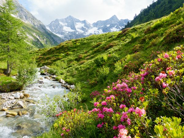 Tirol erleben - 7 Tage Fieberbrunn mit HP inkl. Halbpension Unkategorisiert online kaufen Tirol erleben - 7 Tage Fieberbrunn mit HP inkl. Halbpension Unkategorisiert online kaufen