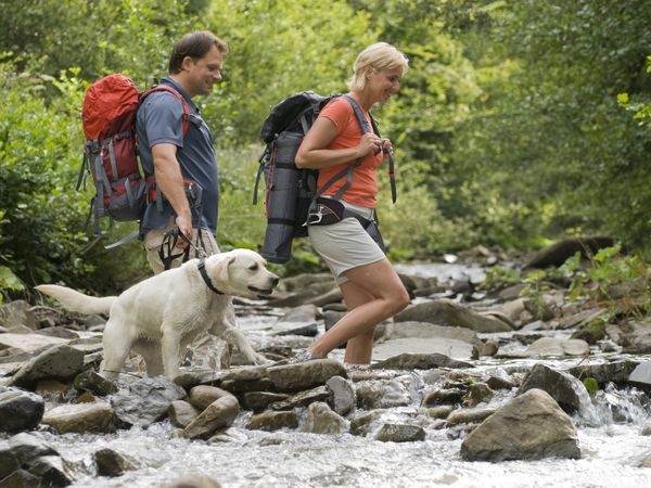 Urlaub mit Hund im Schwarzwald I 3 Tage in Lenzkirch, Baden-Württemberg inkl. Halbpension Unkategorisiert online kaufen Urlaub mit Hund im Schwarzwald I 3 Tage in Lenzkirch, Baden-Württemberg inkl. Halbpension Unkategorisiert online kaufen