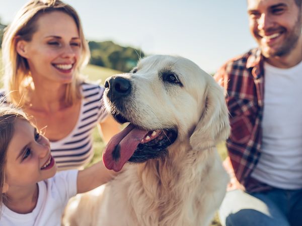 Urlaub mit Hund – tierischer Urlaub inkl. HP | 4 Tage in Bad Laasphe, Nordrhein-Westfalen inkl. Halbpension Unkategorisiert online kaufen Urlaub mit Hund – tierischer Urlaub inkl. HP | 4 Tage in Bad Laasphe, Nordrhein-Westfalen inkl. Halbpension Unkategorisiert online kaufen