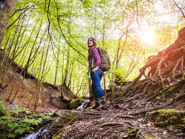 Wanderglück 5 Tage in Bonndorf im Schwarzwald, Baden-Württemberg inkl. Halbpension Unkategorisiert online kaufen