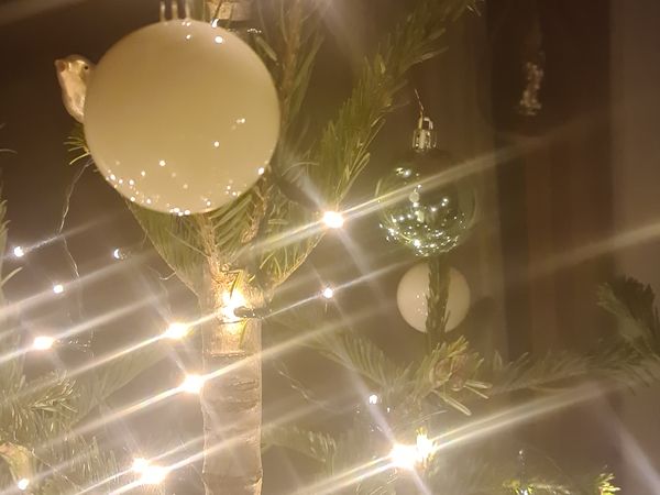 Weihnachten im Stubaital inkl. kleiner Weihnachtsfeier | 7 Tage in Fulpmes, Tirol inkl. Frühstück Unkategorisiert online kaufen Weihnachten im Stubaital inkl. kleiner Weihnachtsfeier | 7 Tage in Fulpmes, Tirol inkl. Frühstück Unkategorisiert online kaufen