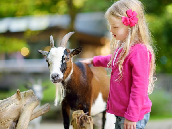 Wildes Wels - Ein Besuch im Welser Tiergarten |5 Tage, Oberösterreich inkl. Frühstück Unkategorisiert online kaufen Wildes Wels - Ein Besuch im Welser Tiergarten |5 Tage, Oberösterreich inkl. Frühstück Unkategorisiert online kaufen