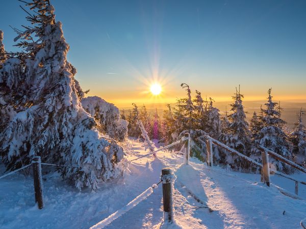 Winter-Aktivurlaub im traumhaften Ötztal - 8 Tage in Sautens, Tirol inkl. Halbpension Plus Unkategorisiert online kaufen