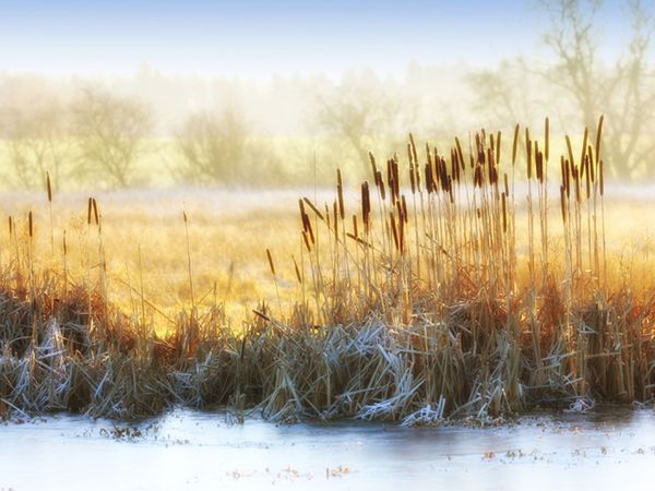 Winterschnäppchen am Beetzsee - 4 Tage inkl. HP plus in Päwesin, Brandenburg inkl. Halbpension Plus Unkategorisiert online kaufen