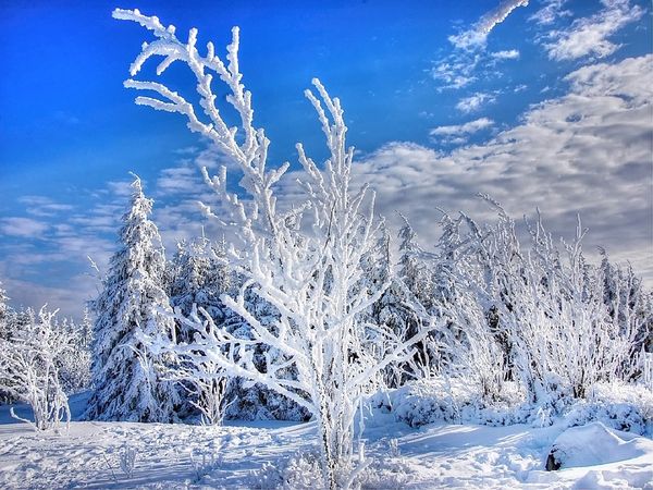 Wintertage in Halberstadt inkl. Dom & Kino (4 Tage), Sachsen-Anhalt inkl. Halbpension Unkategorisiert online kaufen Wintertage in Halberstadt inkl. Dom & Kino (4 Tage), Sachsen-Anhalt inkl. Halbpension Unkategorisiert online kaufen