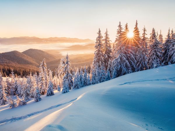 Winterurlaub in St. Johann - 4 Tage Tirol mit Halbpension in St. Johann in Tirol inkl. Halbpension Unkategorisiert online kaufen