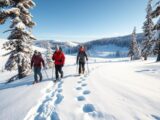Erlebnisreiche Schneeschuhwanderungen in Schweden